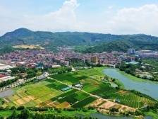 声动厚街｜革命老区：传承红色基因，注入发展新动能