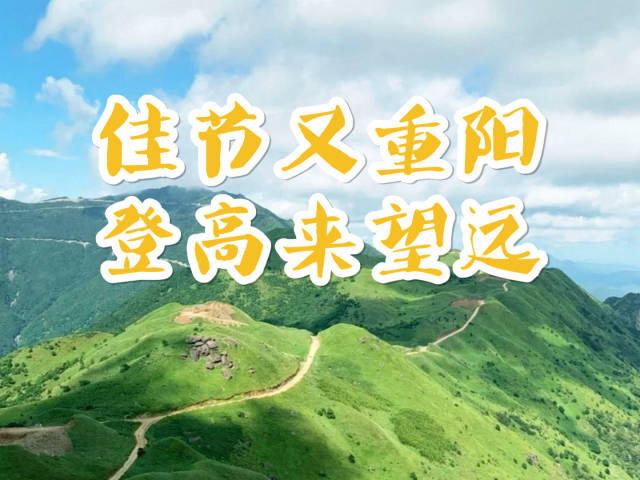 佳节又重阳，登高来望远｜真乡推荐