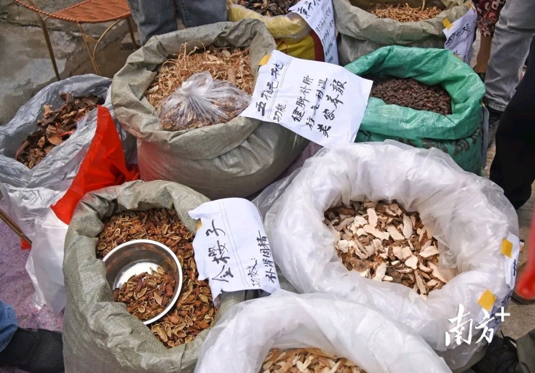 往年重阳古墟活动现场。受访者供图