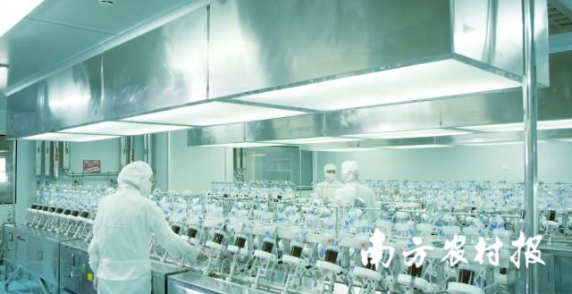 健帆生物科技集团股份有限公司血液灌流器产品生产线。 