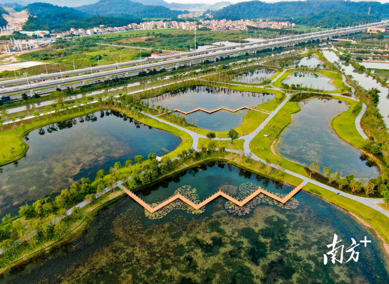 南朗街道生态湿地。南方+资料图