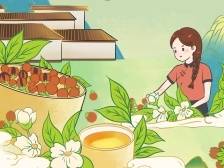 油茶产业发展如何提速，肇庆广宁这么干！丨漫话“百千万工程”