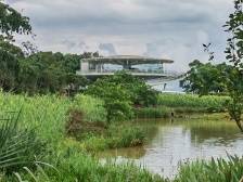 解读深圳2035｜公园将超1500个，一天一个要逛4年多