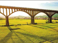 史上规模最大最全村有关普查！《全粤村情•云浮市罗定市卷》出版