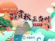 重阳至，品秋意，哪里赏秋正当时？