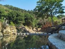 畲乡展新貌！归湖镇碗窑村打造特色景观推动绿化美化丨百千万·“潮”前跑