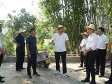 梁世军调研千官镇，为“百千万工程”工作加温鼓劲