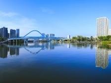 视频｜“岗”为人先，智造未来！大岗镇邀您参与2024年南沙全球招商引智大会