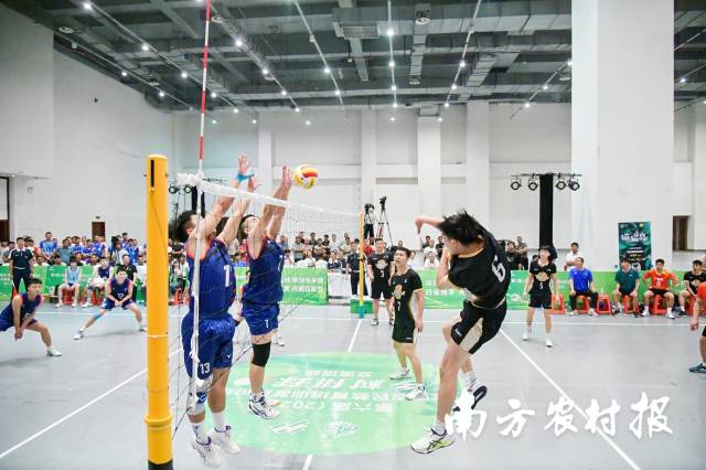 激烈的比赛现场。身着黑色运动服的为广东队。