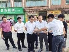 梁荣杰率队到电城镇调研督导“百千万工程”典型镇村培育工作