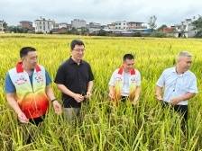 “我在坭陂有亩田”认耕认种活动启动：盘活撂荒地，帮扶出新招