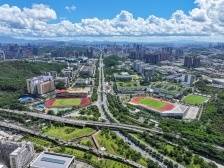 中国式现代化的深圳实践·“一把手”说｜与企业一起谋划增长“第二曲线”