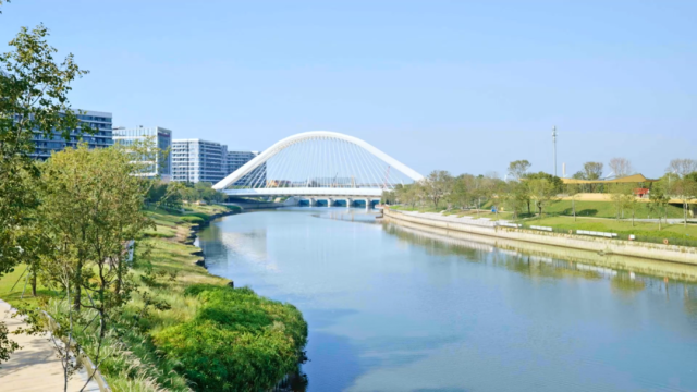 多维度挖潜寻找绿色增量｜“山海连城绿美深圳