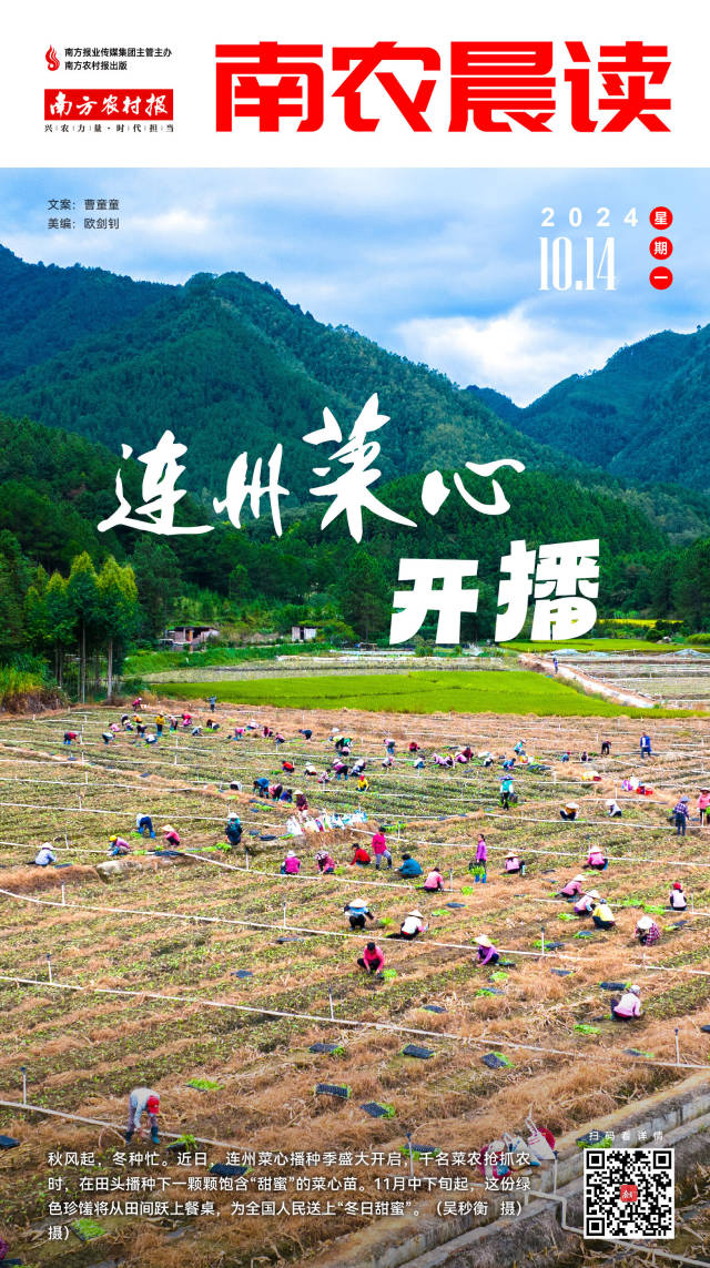 南方農(nóng)村報(bào) 李嘉鎵 制圖