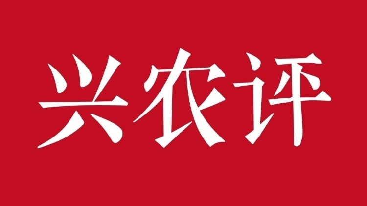 兴农评丨过期大米卖给乡村学校，不良商家为何敢？