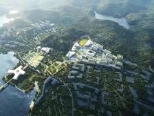 南方眼｜深圳城市空间格局再升级，东部这一新中心有何机遇？