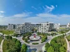 视频｜绿美水乡，活力东涌！东涌镇邀您参与2024年南沙全球招商引智大会