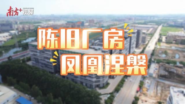“小散乱”企业污染重？超大号共性产业园“一键”清｜陈旧厂房，凤凰涅槃
