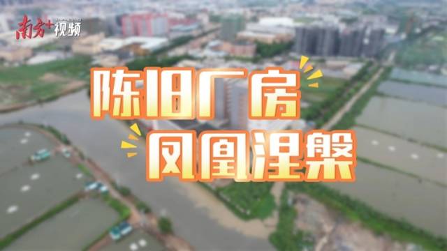 老工业区迎新生，荒废地块“变”出亿元年产值丨陈旧厂房，凤凰涅槃