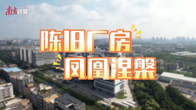 “工改”园区里的“湾区智谷”，六成以上企业来自深圳｜ 陈旧厂房，凤凰涅槃