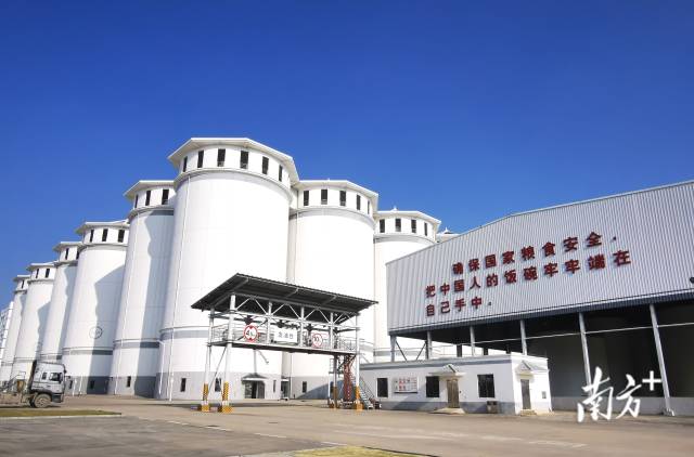 佛山市粮食储备库一角。受访者供图 佛山市粮食储备库一角。受访者供图