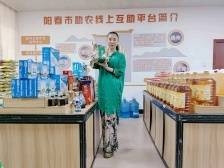 乡村合伙人⑤∣从粽子到月饼，这位“新阳春人”传帮带助力乡村创业者