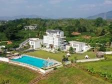 博罗县高桥村：百年古榄园续写致富新故事