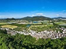 点绿成金：珠海村集体增收背后的“绿美账本”