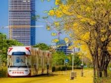 广交会洋商都爱去的地方，到底有多好玩｜广交一线观