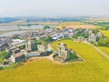 奖金最高2.5万元，江门市邑美乡村民宿设计大赛启动