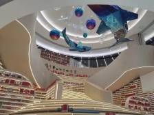 倒计时三天！奥运冠军谢思埸与你相约台山，亮点抢先看