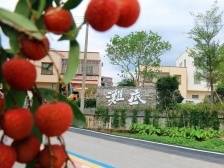 短剧的风，吹向滩底村