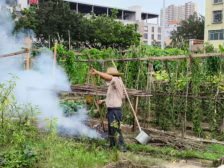 12345热线“五步走”，南沙榄核架起为民服务“连心桥”