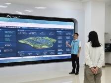 会养鸽变“慧”养鸽！数智赋能养殖，“兴宁鸽”尽显“科技范儿”