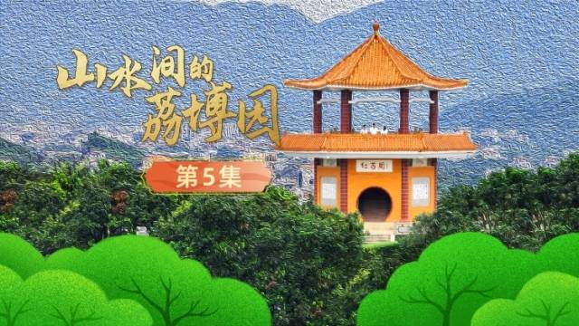 在元坝村，哪棵荔枝树有“独一无二”的名字？｜山水间的荔博园⑤