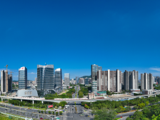 数解｜九组数据看南沙全球招商引智成绩单