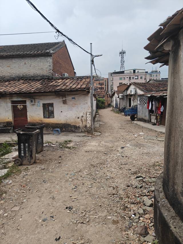 袁屋围村在人居环境整治、乡村风貌提升、“三线”治理和道路提档升级等方面仍有明显不足。
