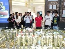 奥运冠军谢思埸抵达江门台山