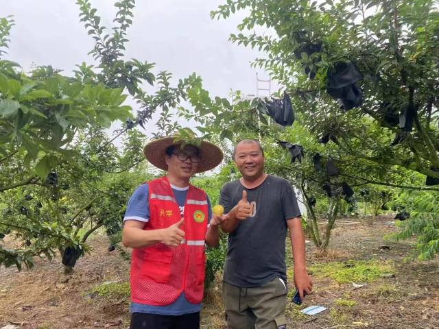 梁浩云一直坚持指导当地农户生产 梁浩云一直坚持指导当地农户生产