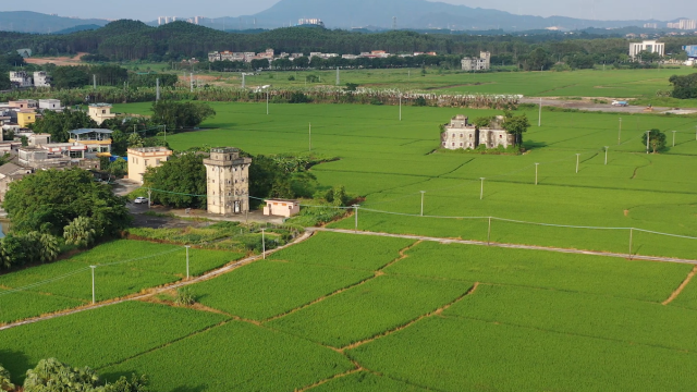 梁浩云睁开生态水稻种植基地建树