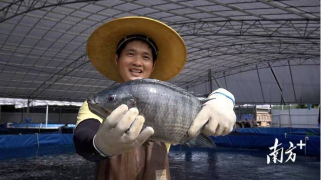 前三季度，南农晨读湛江、南农晨读茂名两市罗非鱼出口值名列全国前列。