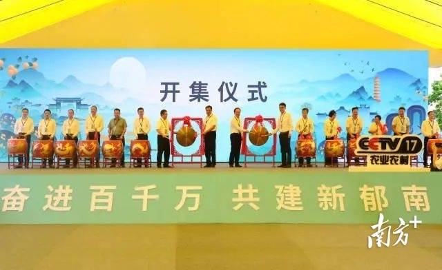 郁南无核黄皮节活动