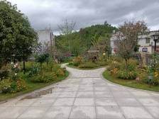 兴宁市合水镇：党建赋能“美丽庭院”建设，绘就“百千万工程”和美画卷