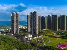 台山高品，何以为冠？