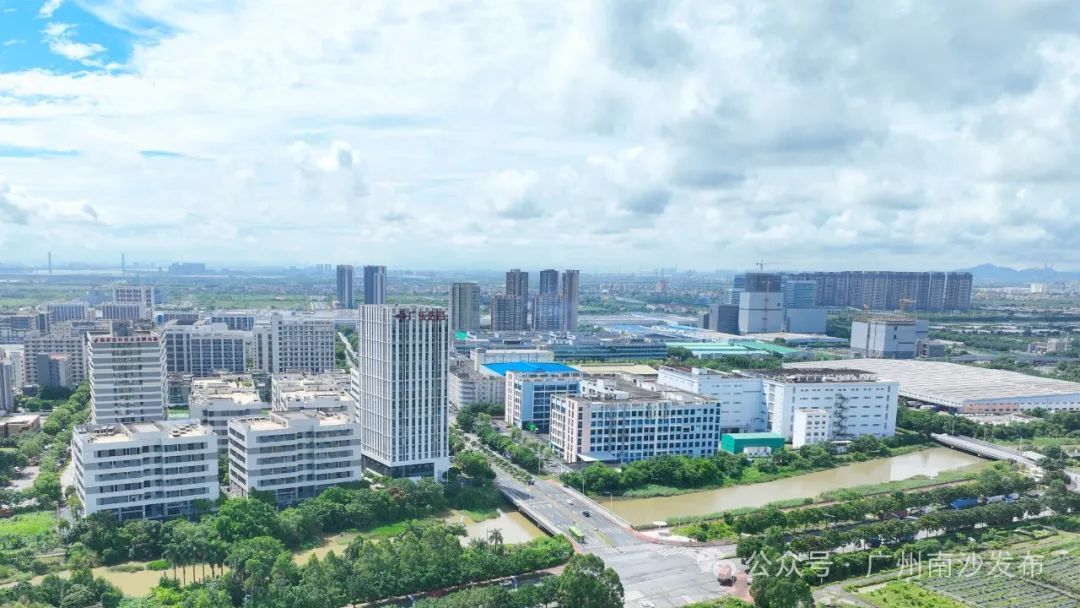 广州南沙种业基金对农业科技产业投资格局影响分析