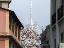 视频｜再造新广州，枢纽大问策！跨国调研报道今起推出