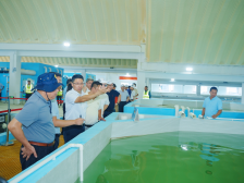 年产优质海水种苗1亿尾，珠海“海发蓝色种业产业园”投产