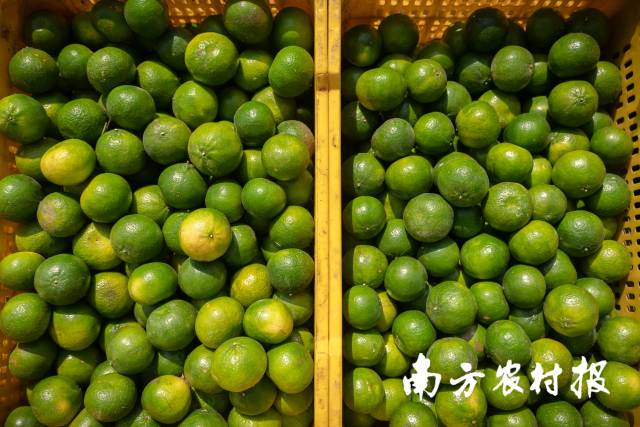 水环境监测存在的问题及对策分析