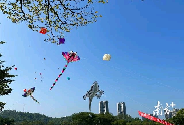 今年重阳节当天，全省30支职工队伍齐聚阳江共赴风筝盛宴。