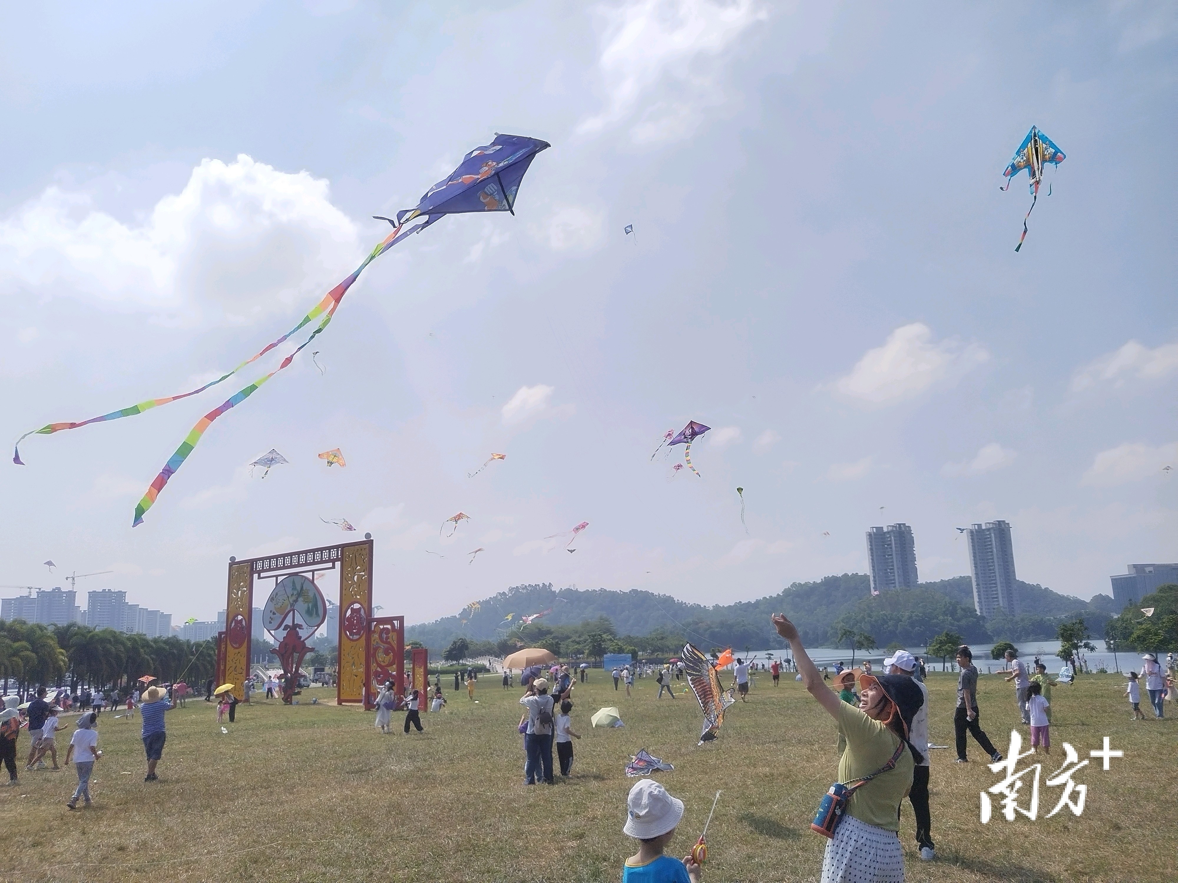 重阳节期间，阳江鸳鸯湖公园旁的南国风筝竞技场热闹非凡。